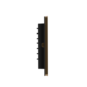 Панель смыва RIVO Touch lux Латунь матовая