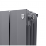 Дизайн-радиатор бимет. Royal Thermo PianoForte Silver Satin 500 x 100 - 8 секц.